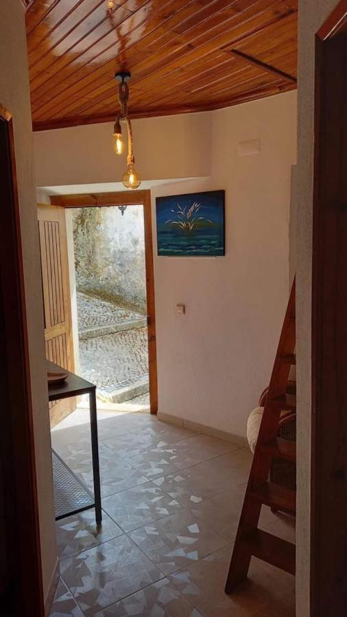 Art'Rio - Casa No Rio Em Dornes Villa Bagian luar foto