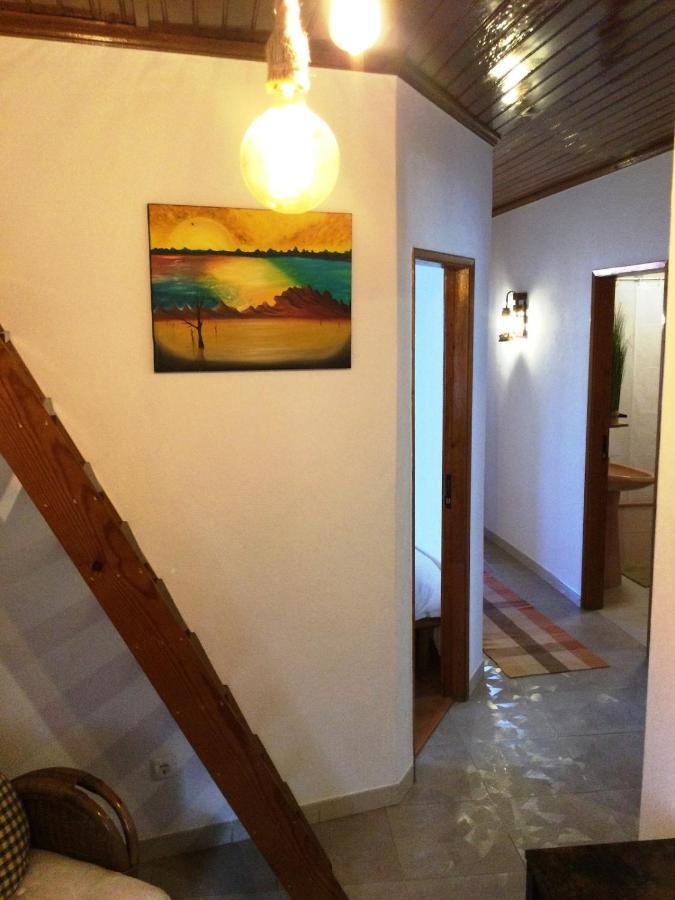 Art'Rio - Casa No Rio Em Dornes Villa Bagian luar foto
